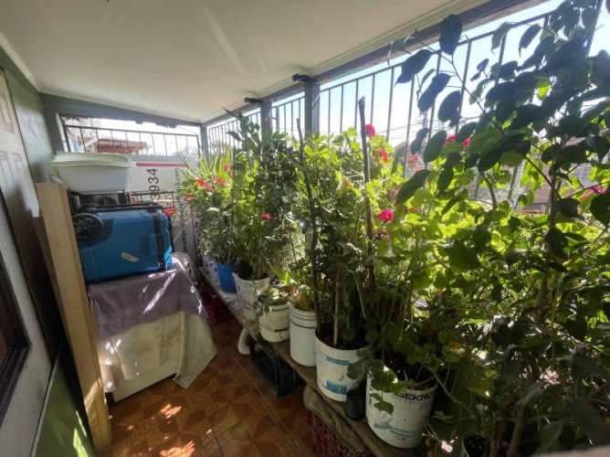 Casa EL CEDRO CON ROMA