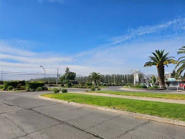 PARCELA Algarrobal de Chicureo Teresa Spikula