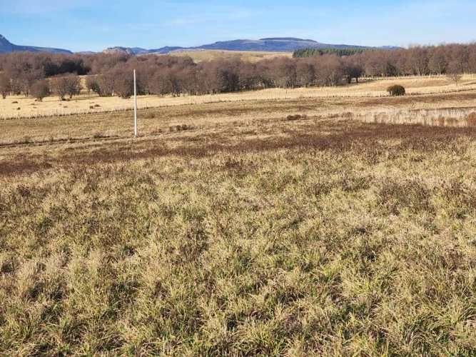 ENSENADA VALLE SIMPSON (63621)