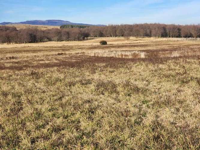 ENSENADA VALLE SIMPSON (63621)