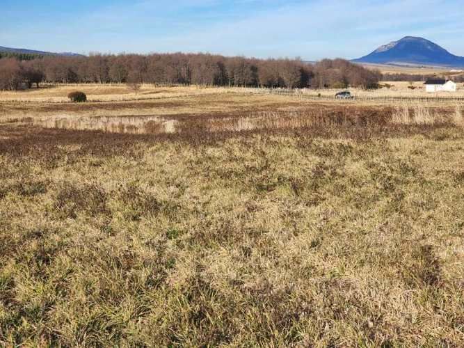 ENSENADA VALLE SIMPSON (63621)