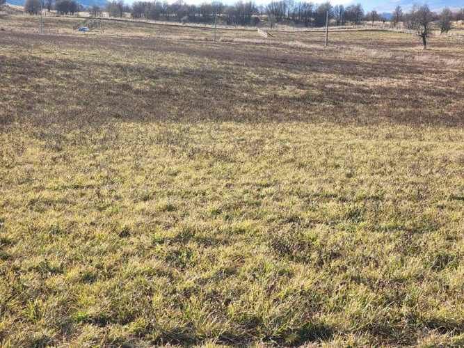 ENSENADA VALLE SIMPSON (63621)