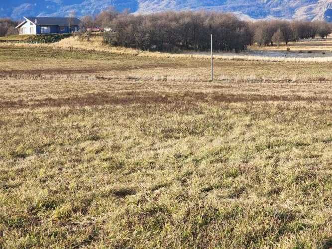 ENSENADA VALLE SIMPSON (63621)