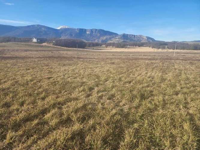 ENSENADA VALLE SIMPSON (63621)