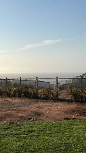 Av. Parque Norte (65259)