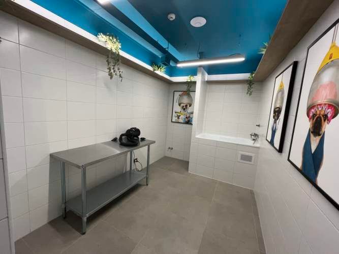 Home Inclusive Indep [3063-1]