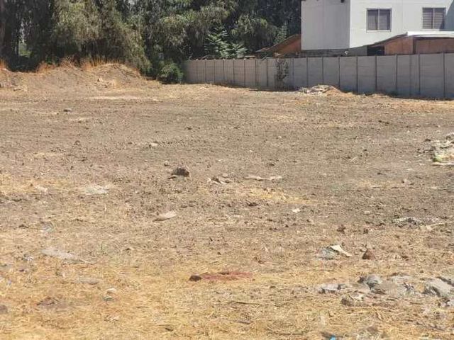 Oportunidad de inversión: Terreno  Plano (65534)