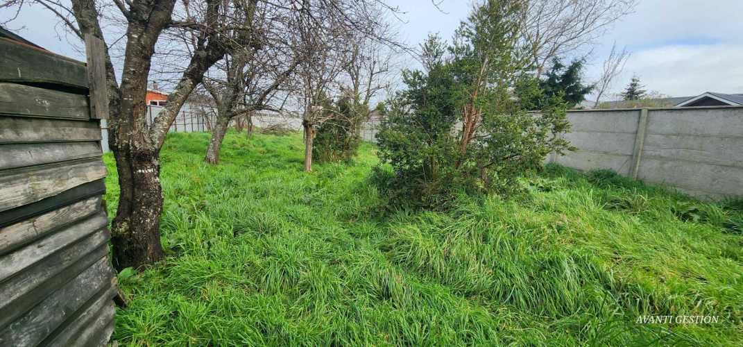 GRAN OPORTUNIDAD DE INVERSION (66564)