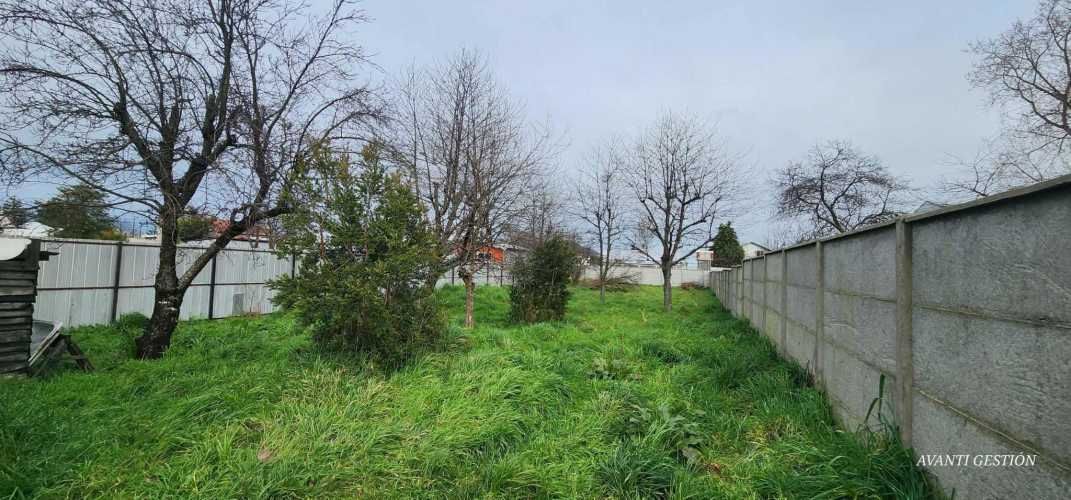 GRAN OPORTUNIDAD DE INVERSION (66564)