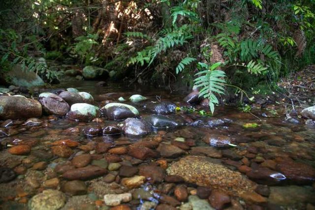 Carretera Austral Puerto Montt , km30  (66397)