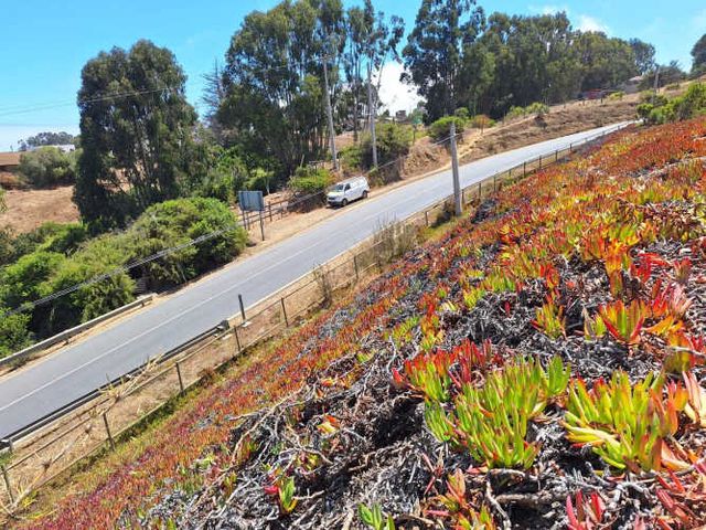 TERRENO C. VISTA AL MAR  EL YECO (66378)