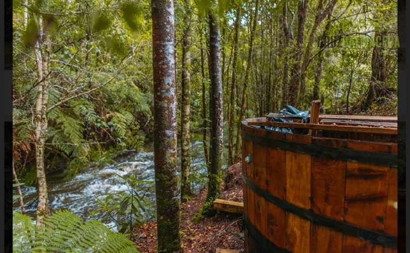 PARCELA Alerces de camahueto