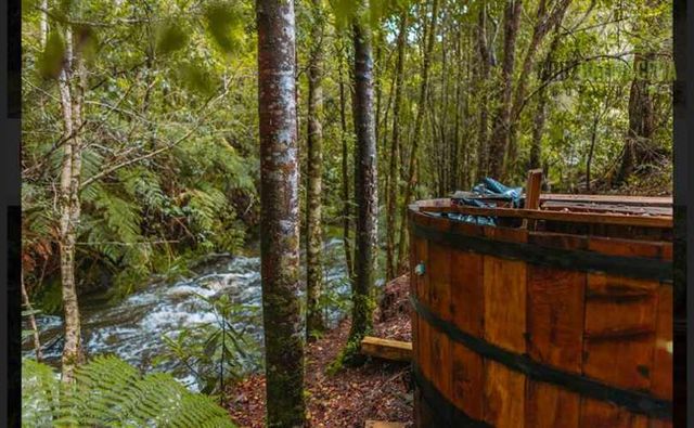 PARCELA Alerces de camahueto