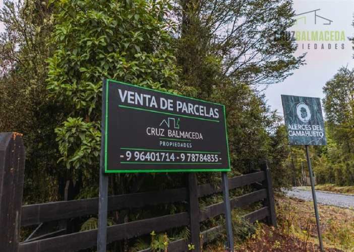PARCELA Alerces de camahueto