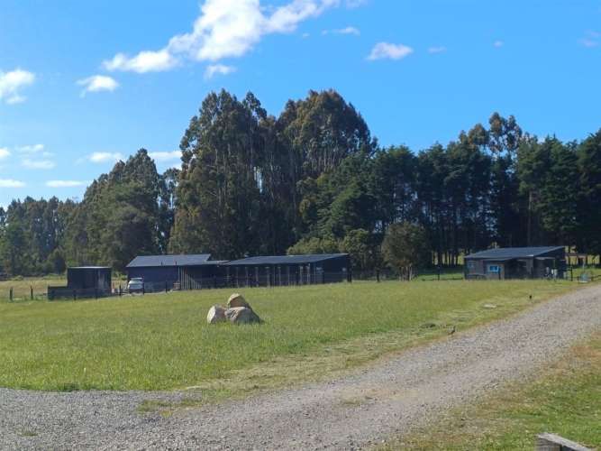 PARCELA LOMAS DE FRUTILLAR