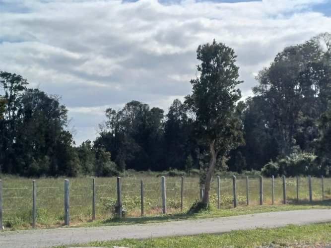 PARCELA LOMAS DE FRUTILLAR