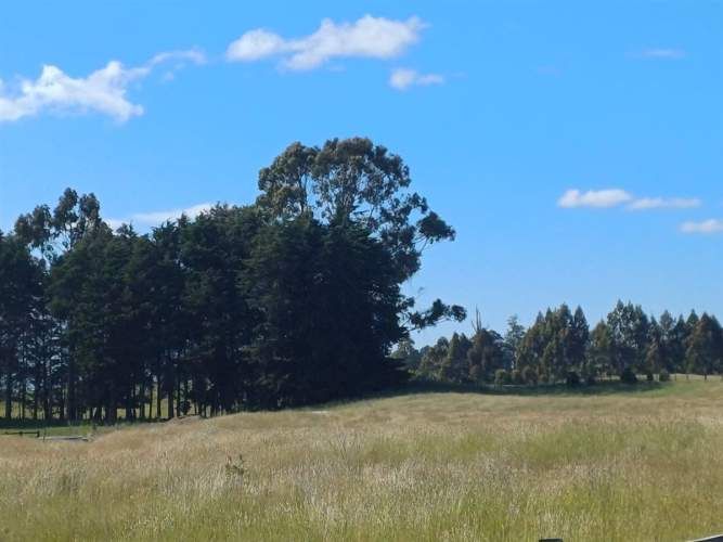 PARCELA LOMAS DE FRUTILLAR