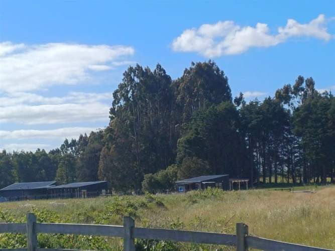 PARCELA LOMAS DE FRUTILLAR