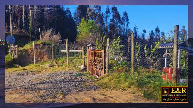 5,11 HECTAREAS EN VENTA , TOME  (67708)