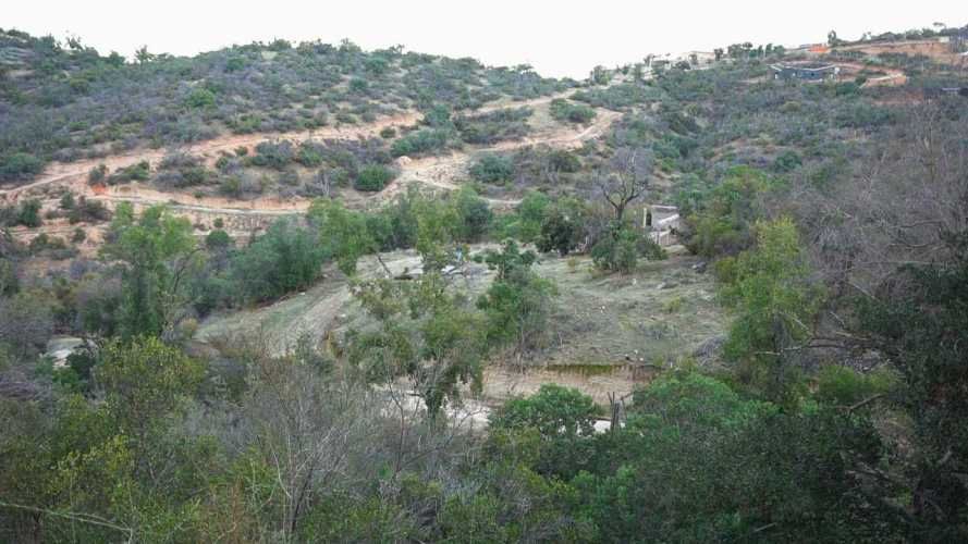 PARCELA EN CURACAVI (67648)