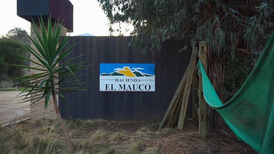 PARCELA EN CURACAVI (67648)