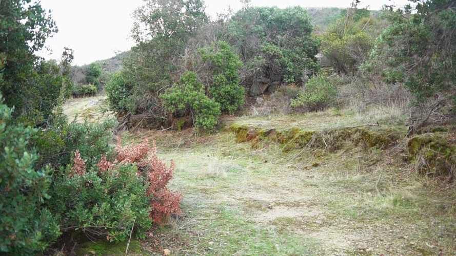 PARCELA EN CURACAVI (67648)