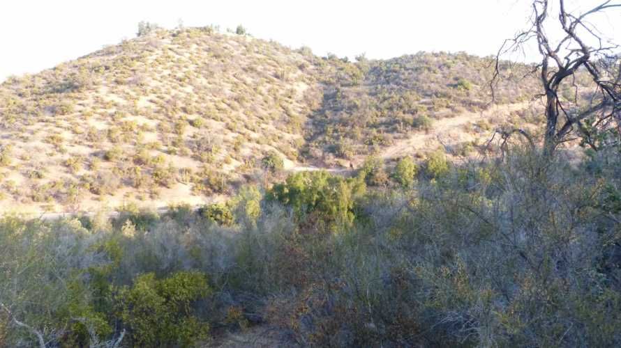 PARCELA EN CURACAVI (67648)