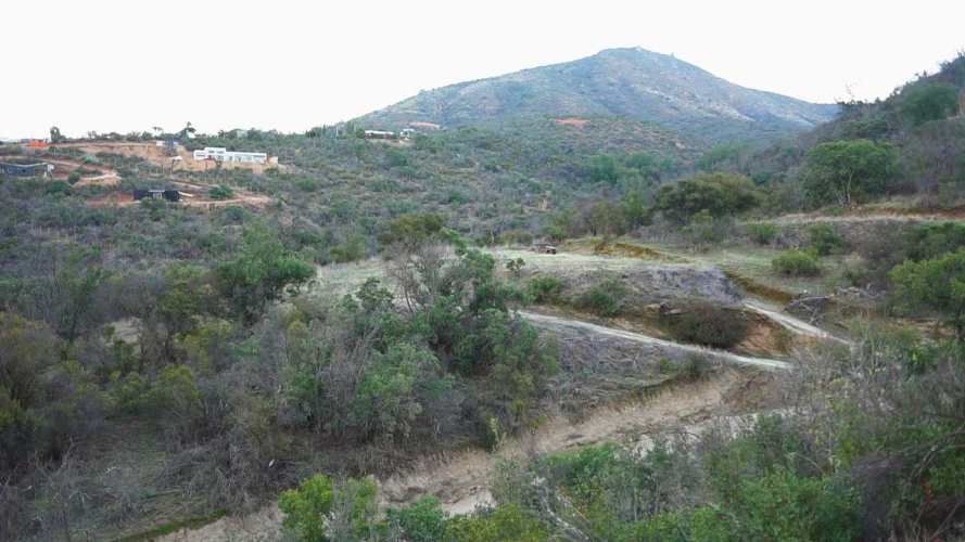 PARCELA EN CURACAVI (67648)