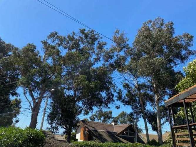 Linda Casa Playera (67613)