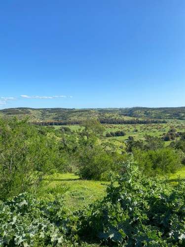 PARCELAS EN EL CONVENTO, SANTO DOMINGO V REGION