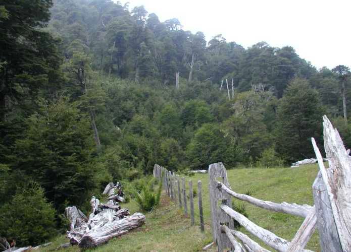 Venta de Predio cercano a Pucón