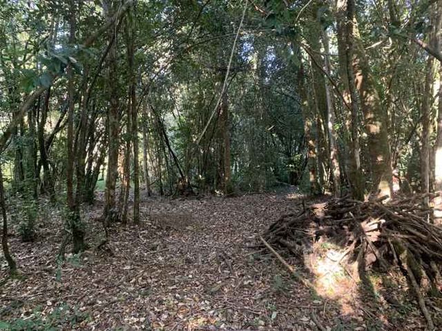 PARCELA Reserva Santa Clara, Línea Nueva