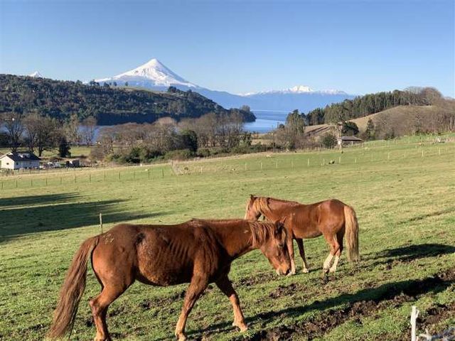 PARCELA Frutillar - Totoral