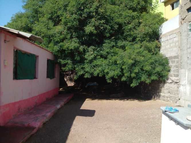 Ideal inversión (68704)