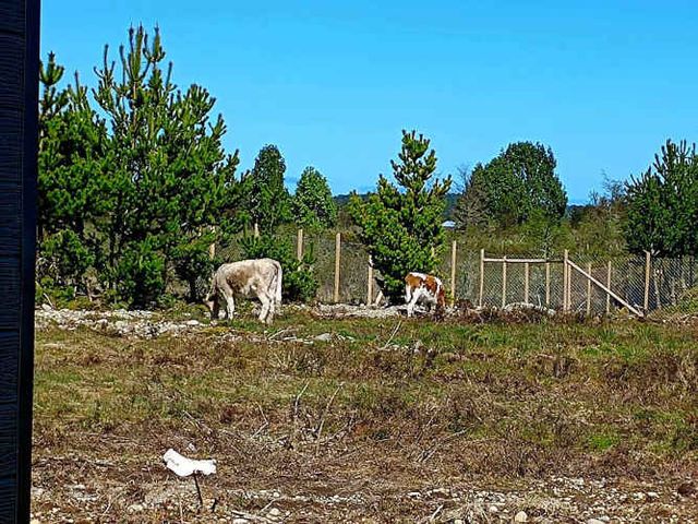Se vende terreno las parcelas 2 ,la campana (68654)