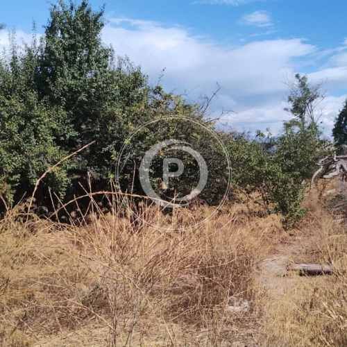 Se vende terreno Puente Alto (68628)