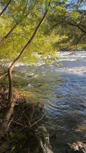 VENTA PARCELA CON ORILLA RIO TRANCURA (69300)