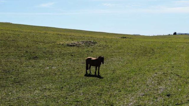 Venta Parcela - 5.000 m2 - Coyhaique