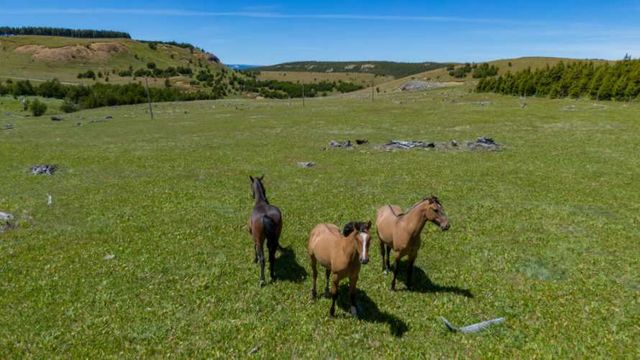 Venta Parcela - 5.000 m2 - Coyhaique