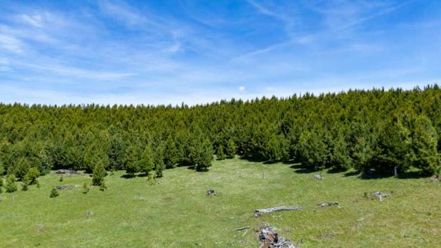 Venta Parcela - 5.000 m2 - Coyhaique