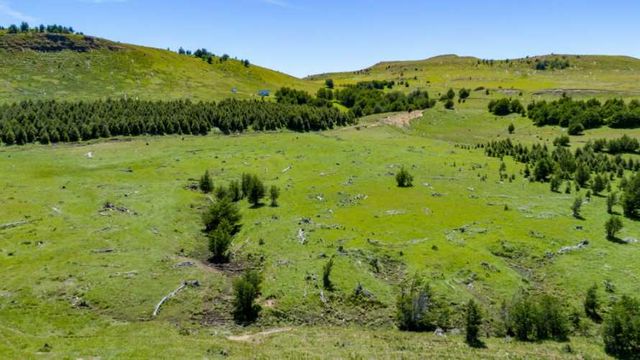 Venta Parcela - 5.000 m2 - Coyhaique