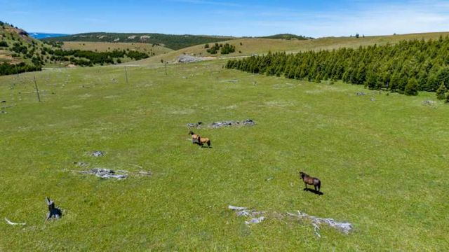 Venta Parcela - 5.000 m2 - Coyhaique