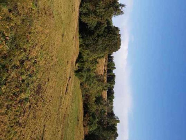 Venta Parcela Maullín