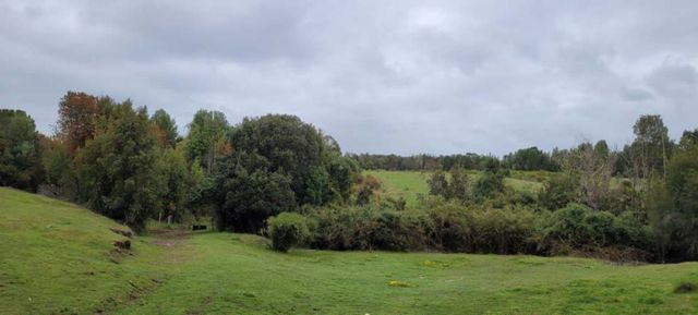 Venta Parcela Maullín