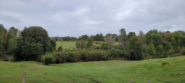 Venta Parcela Maullín