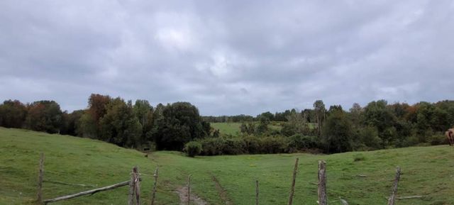 Venta Parcela Maullín