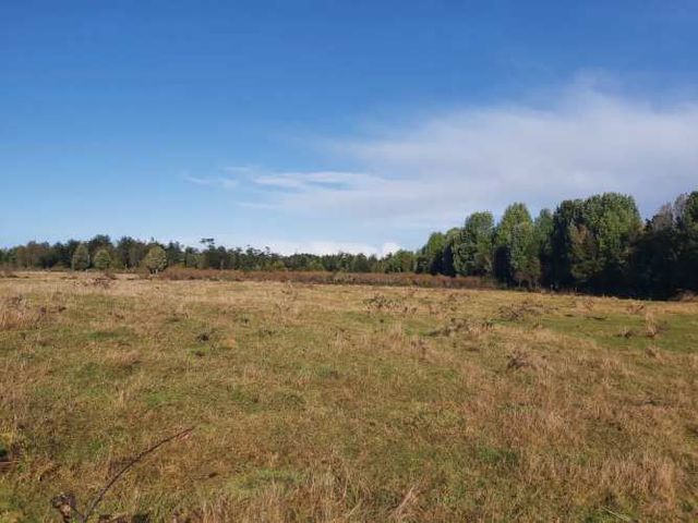 Venta Parcela Maullín