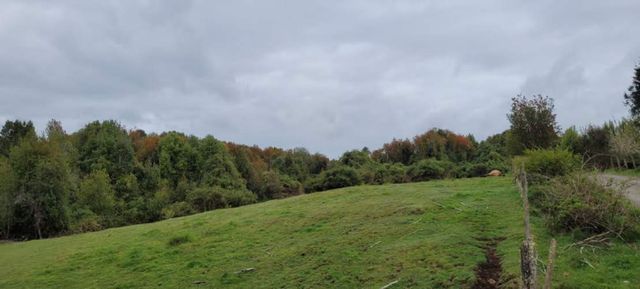 Venta Parcela Maullín