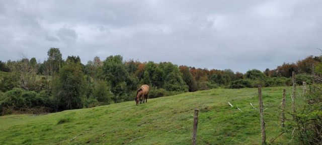 Venta Parcela Maullín