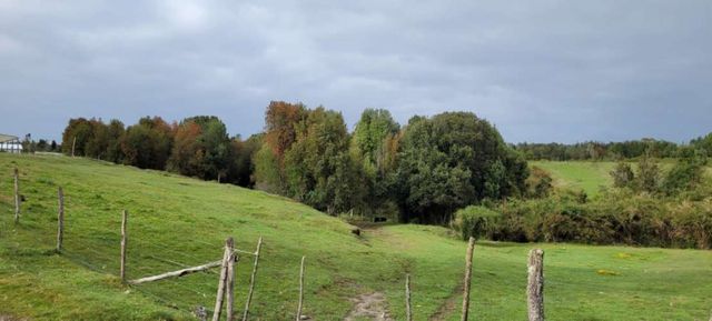 Venta Parcela Maullín